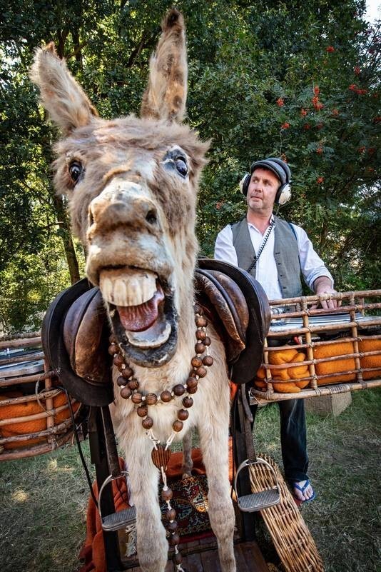 Is it healthy or unhealthy to take some time off from your partner every now and then when being in a relationship?