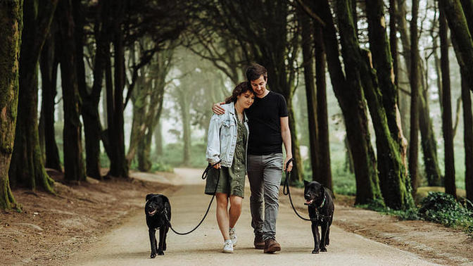 How would you describe your partner? How would you describe you ideal partner?