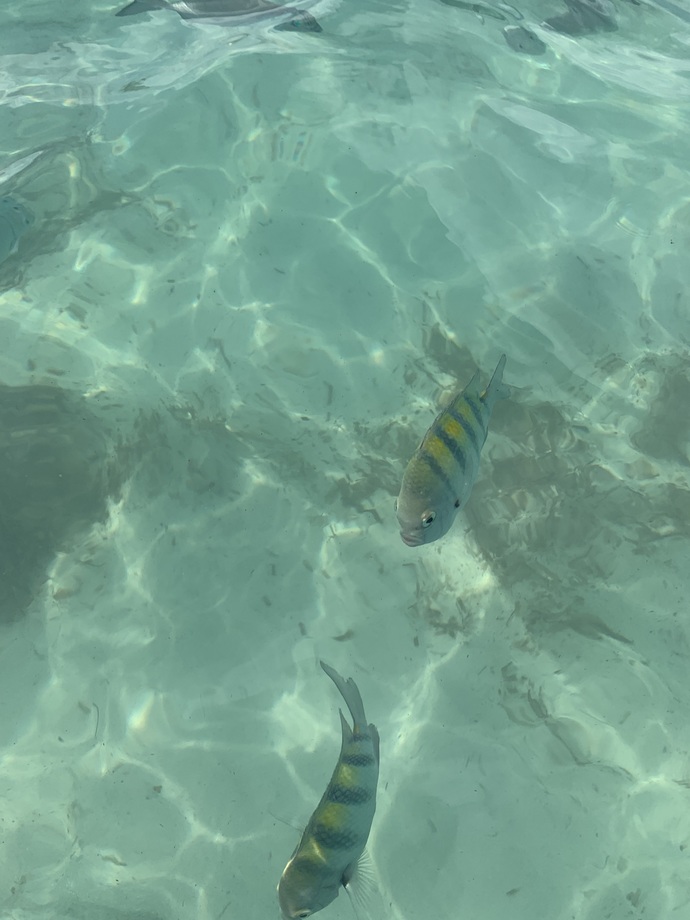 What’s your favourite part about Mexico? These are pics from last year?