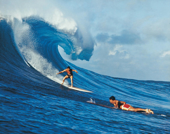 Surf's up!