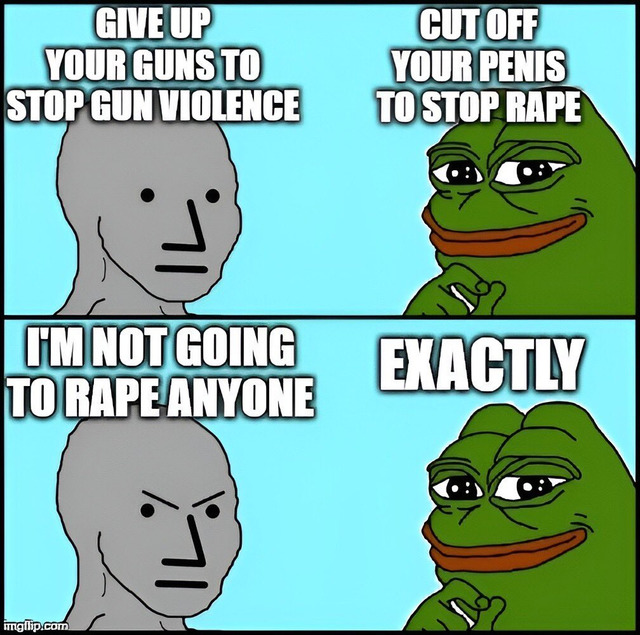 Why don't US people/politicians amend gun laws and ban arms sold in public amid countless mass shootings every year?