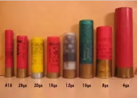 Check this crazy video out. What's the best gun for home invasion protection in your opinion?