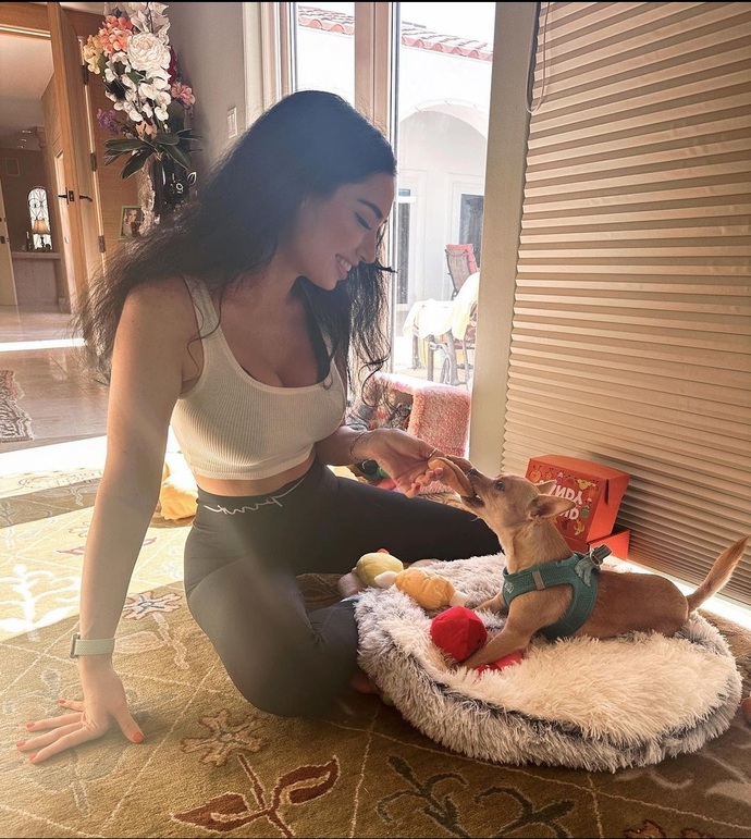 Do you spoil your pet (s) more than the loved ones in your life?