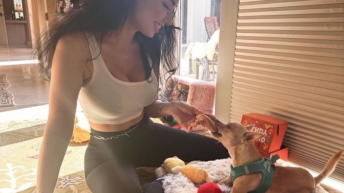 Do you spoil your pet (s) more than the loved ones in your life?