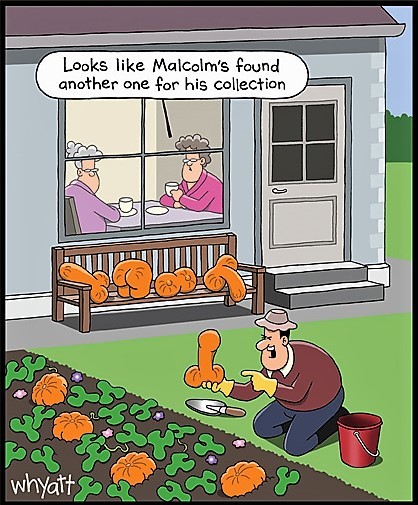 Got any good Halloween cartoons or memes? ?