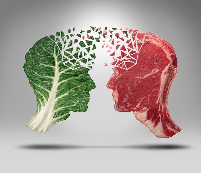 Which is a better diet? Vegan or Carnivore?