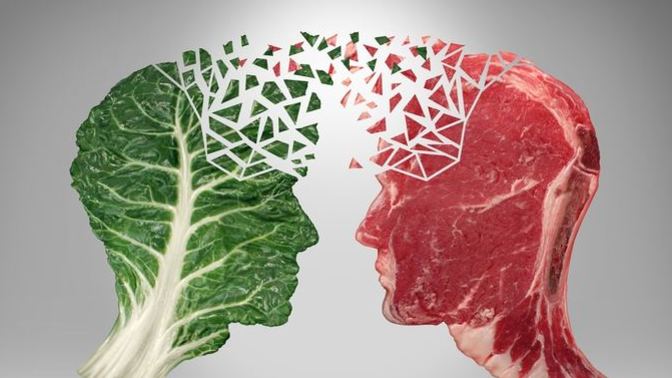 Which is a better diet? Vegan or Carnivore?