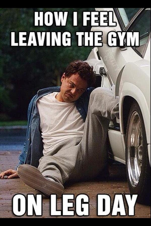 Do you skip leg day?