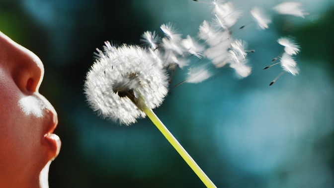 If you had just one wish, what would it be?