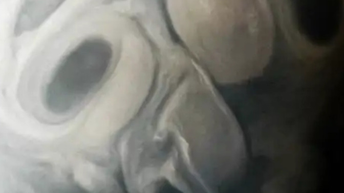 What do you think this is a picture of?