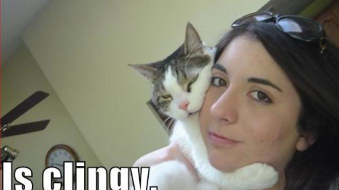 ‘People have called me “clingy” or “needy” when it comes to relationships.’ Agree or disagree?
