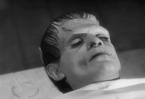 If you died and then brought back to life as a Frankensteins monster what would you do?