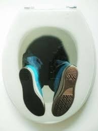 The Toilet Seat Question: Have any Women Actually Fallen In?