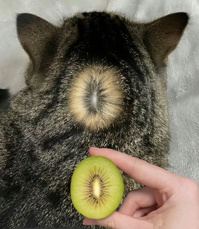 Kiwi or not kiwi?