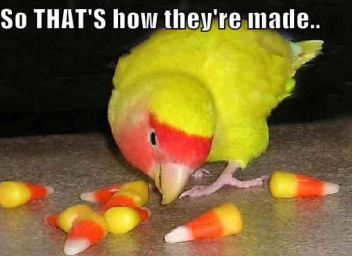 The Overdone Candy Corn Debate: Thoughts?