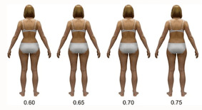 Do guys prefer women with big hips or small hips?