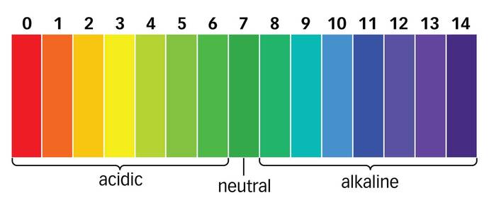 True or false - the average man is a 5 and the average woman is a 6?