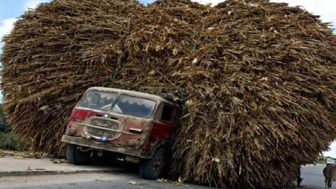 Would you DRIVE this vehicle?