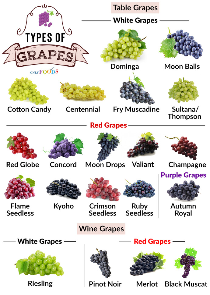 Do YOU like Grapes?