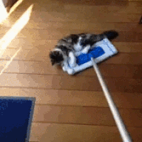 Which of these common household chores is your least favorite thing to do?