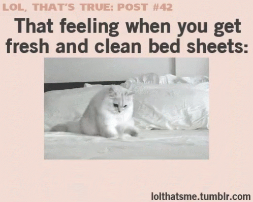 Which of these common household chores is your least favorite thing to do?