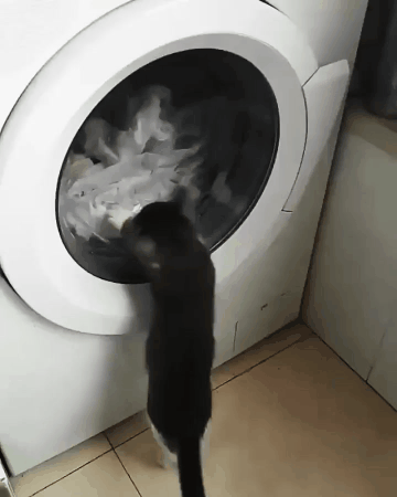 Which of these common household chores is your least favorite thing to do?