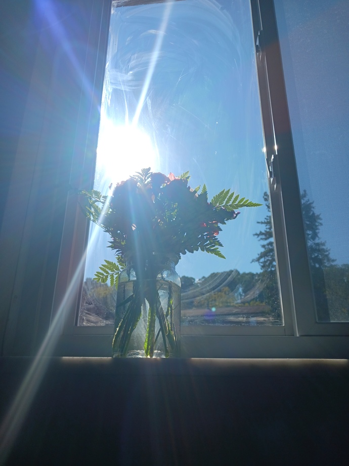 How does this pictures of these flowers make you feel? GirlsAskGuys