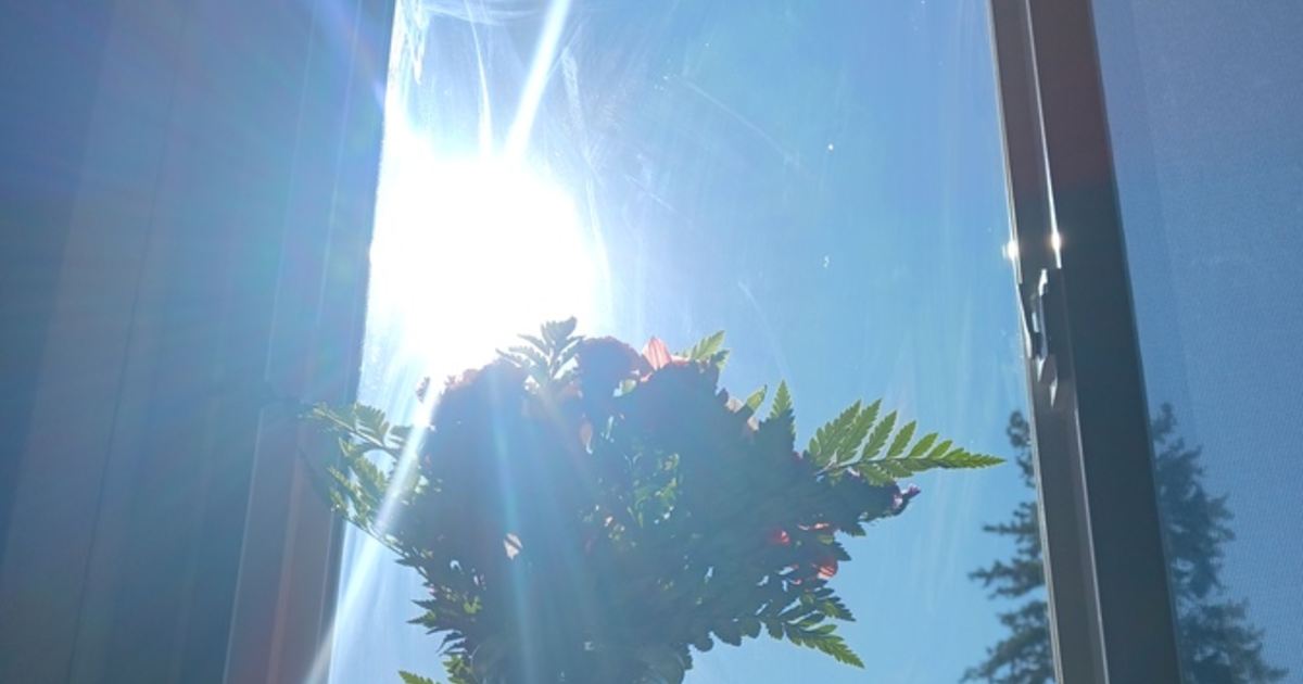 How does this pictures of these flowers make you feel? GirlsAskGuys