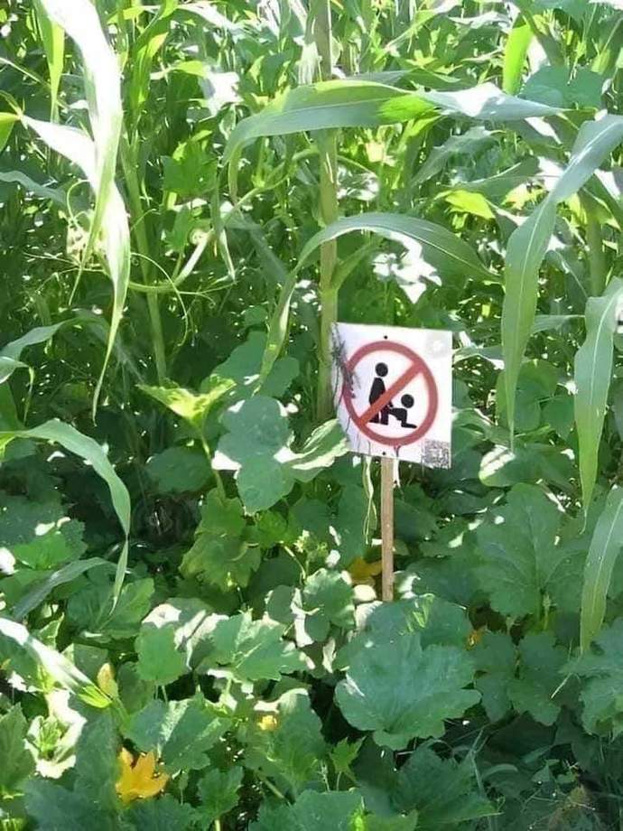 Do you think maze and sugarcane fields should installed such sign boards?