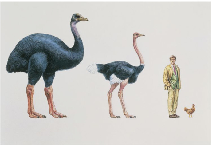 If you could bring one type of extinct creature back from extinction what would be your first choice?