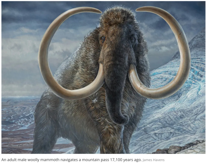 If you could bring one type of extinct creature back from extinction what would be your first choice?
