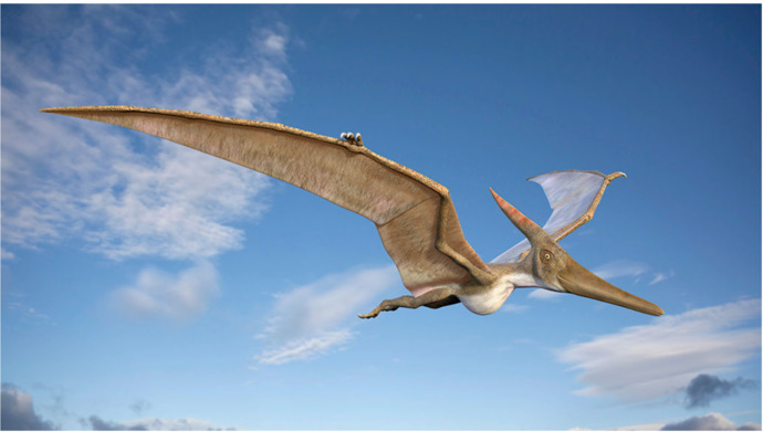If you could bring one type of extinct creature back from extinction what would be your first choice?