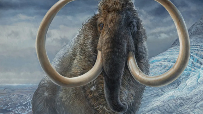 If you could bring one type of extinct creature back from extinction what would be your first choice?