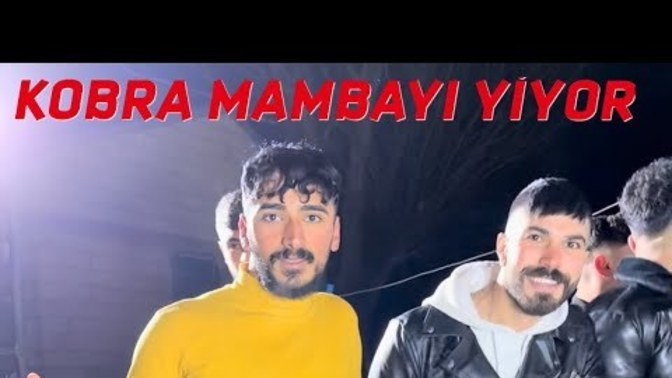 How do Kurdish people head their heads while dancing?