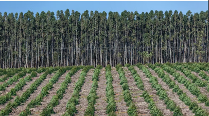 Why do we recycle paper?