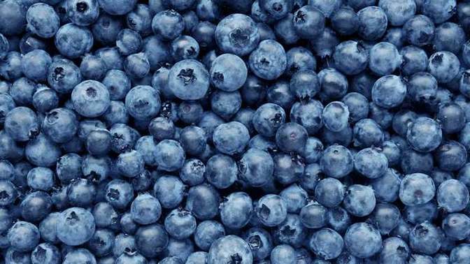 Do YOU like blueberries?