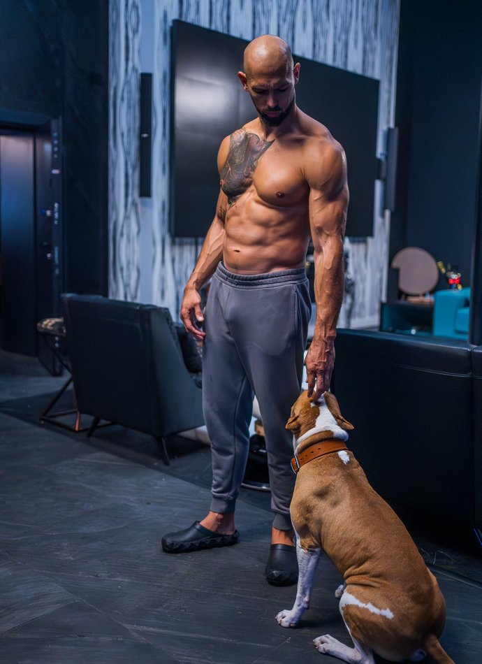 Whats the most attractive part of andrew tates body?