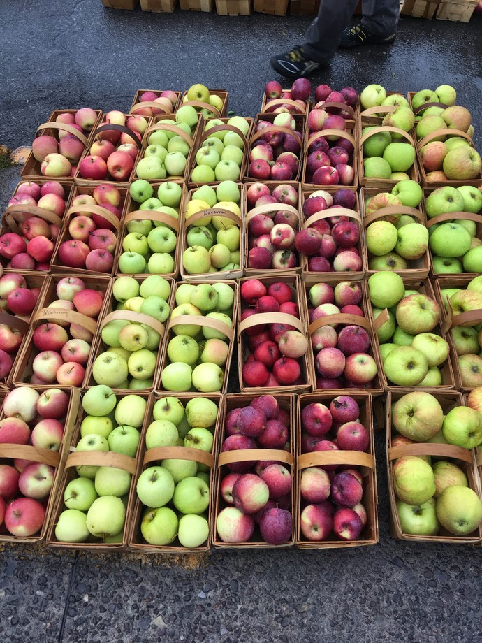 Does it bother you to watch and wait while someone picks through produce before you?