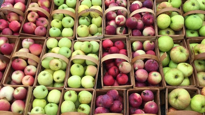 Does it bother you to watch and wait while someone picks through produce before you?