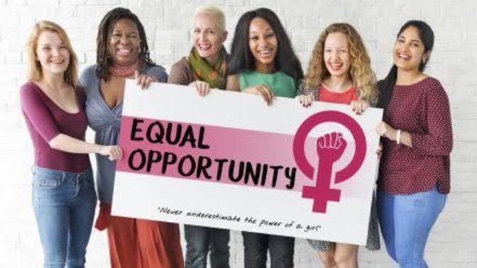 What are some of the main challenges and criticisms that feminism has faced?
