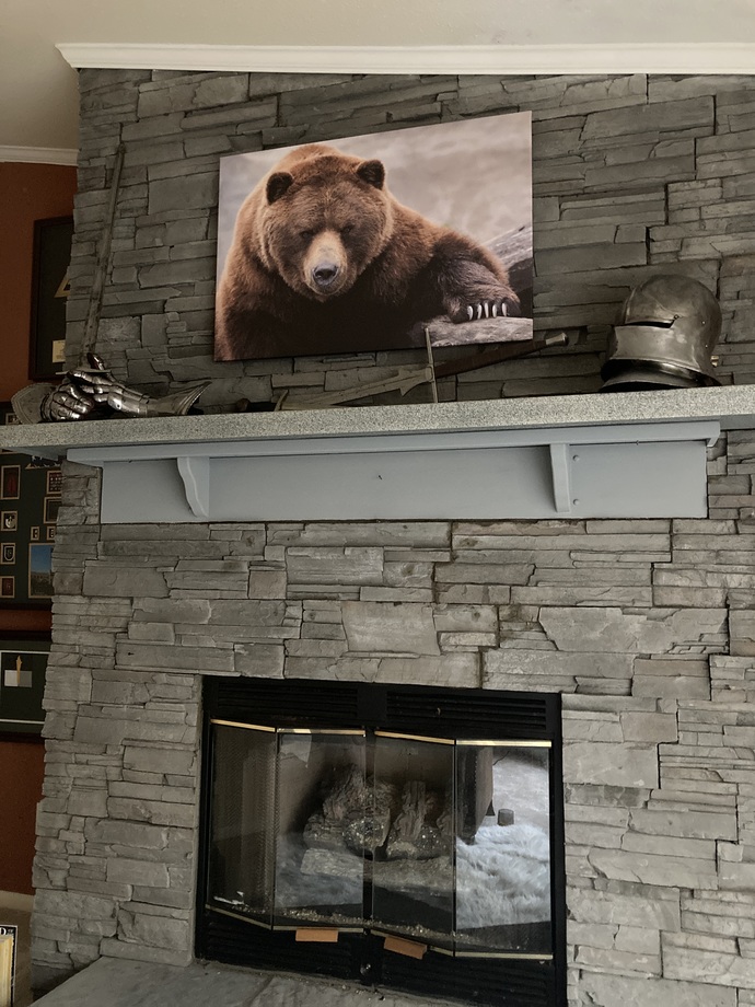 I like bears…