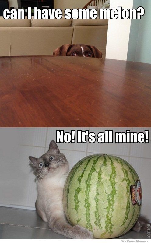 Do YOU like Watermelon?
