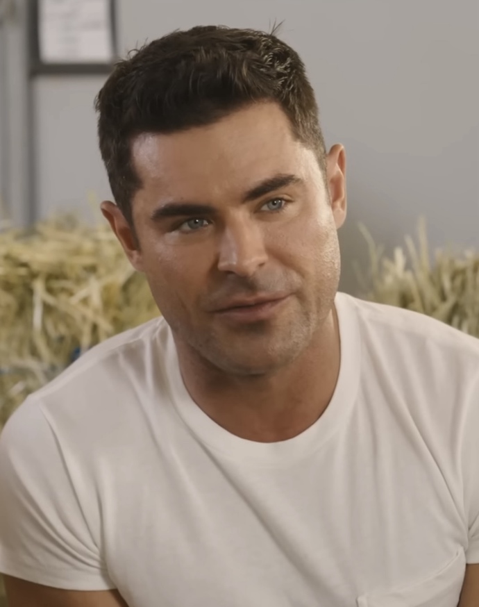 Do You Think That Zac Efron Had Plastic Surgery Or Is He All Natural?