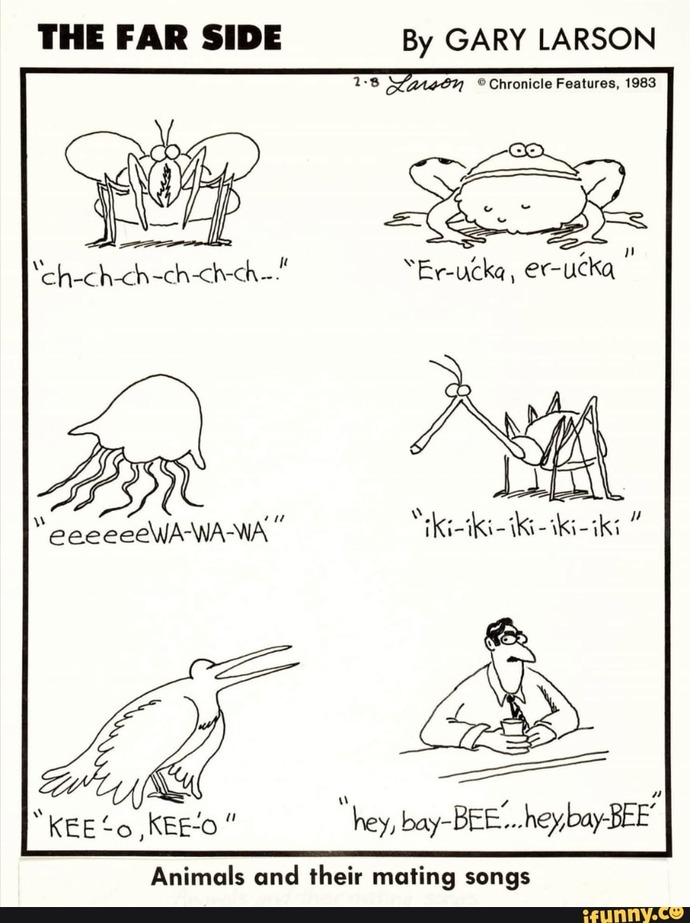 Tell me what your best pick up line is?