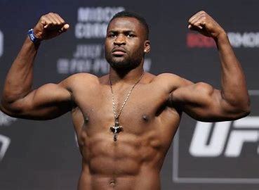 Who do you think will win in a boxing match when they fight... Francis Ngannou or Deontay Wilder?