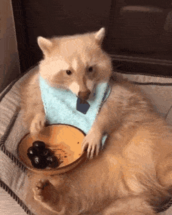 Do YOU like Cherries?