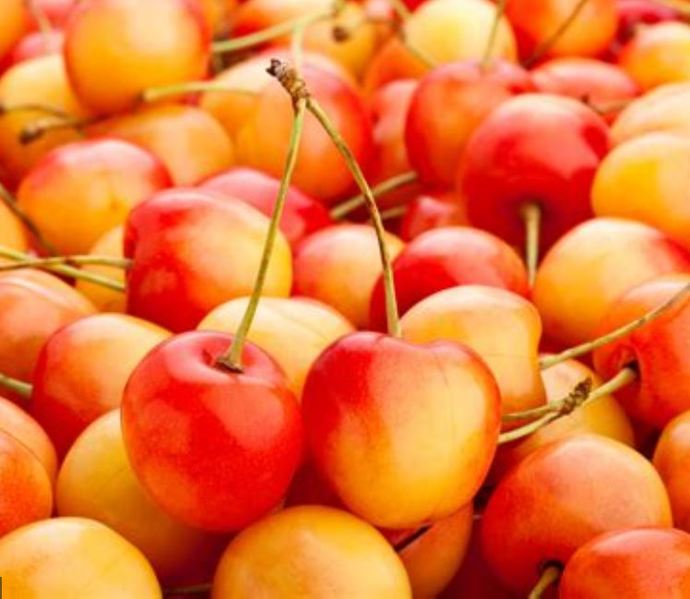 Do YOU like Cherries?