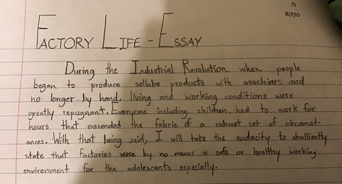 What would you rate this essay from 1-10?