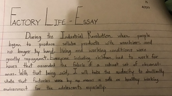 What would you rate this essay from 1-10?