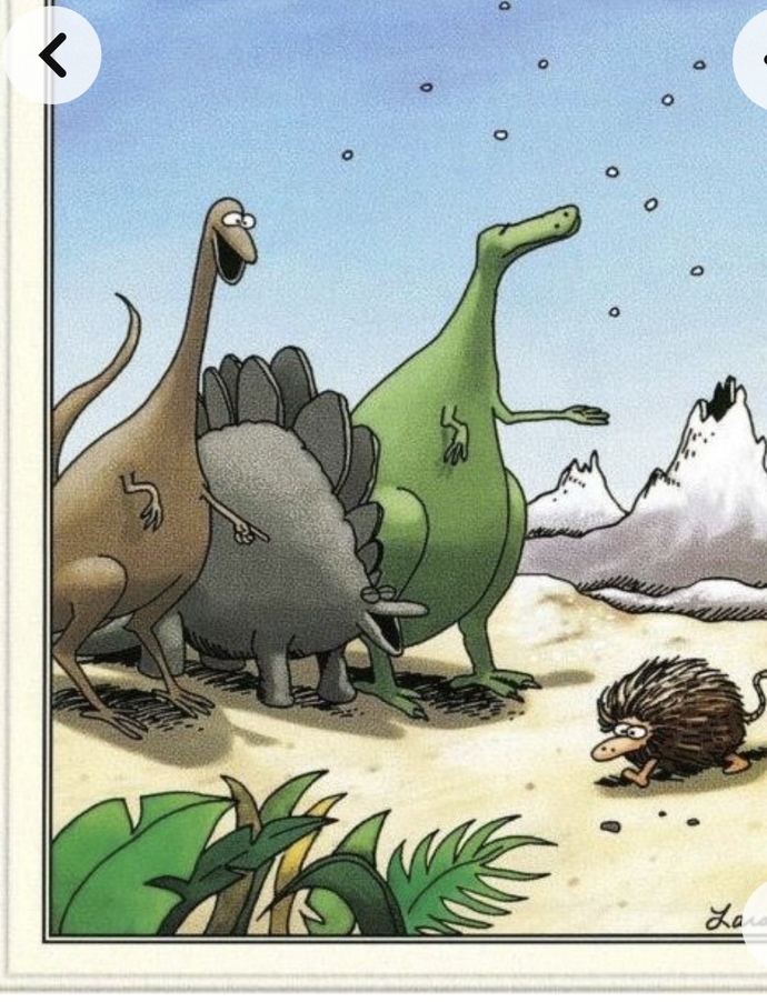 If an ElectroMagnetic Pulse (EMP) destroyed everything Electric on Earth, what would you do?